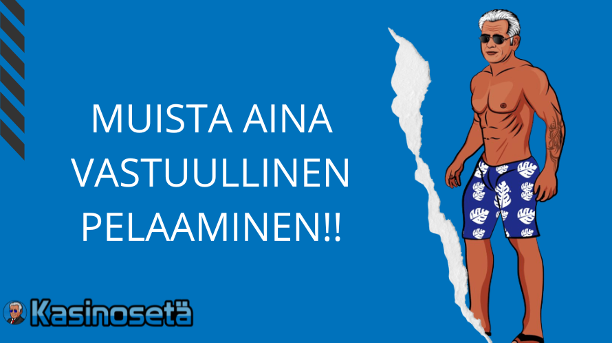 Vastuullinen pelaaminen