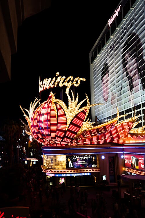 Buumi Casino