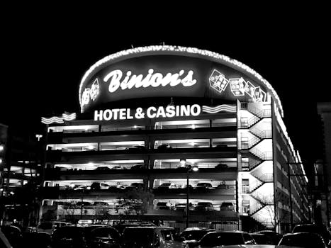 Malina Casino