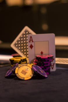 Vauhdikas Casino