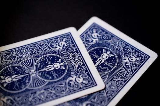 Immu vs Stagala nyrkkeilyottelu