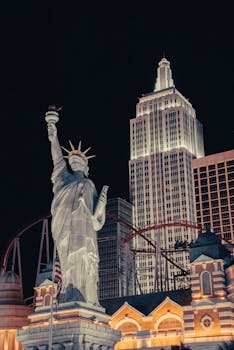 IFC: Immu vs Aki Manninen