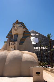 Immu vs Stagala nyrkkeilyottelu