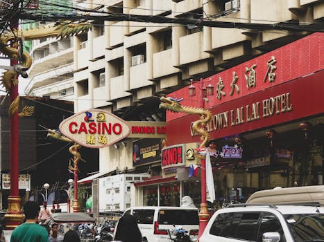 iWild Casino